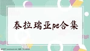 泰拉瑞亚pe合集