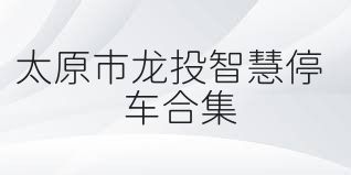 太原市龙投智慧停车合集