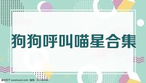 狗狗呼叫喵星合集