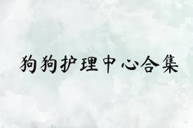 狗狗护理中心合集