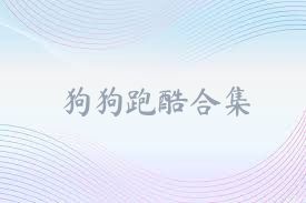 狗狗跑酷合集