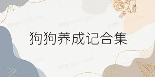 狗狗养成记合集