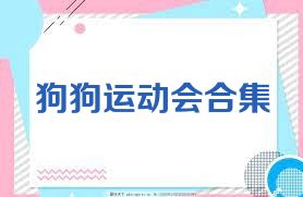 狗狗运动会合集