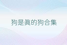 狗是真的狗合集