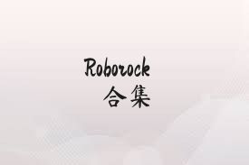 Roborock合集