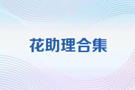 花助理合集