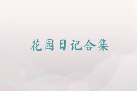 花园日记合集