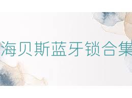 海贝斯蓝牙锁合集