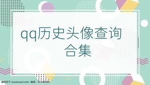 qq历史头像查询合集