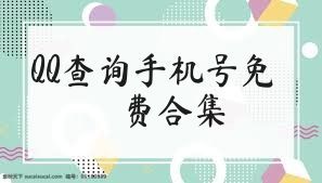 QQ查询手机号免费合集