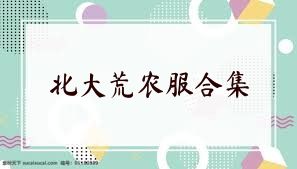北大荒农服合集