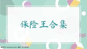 保险王合集