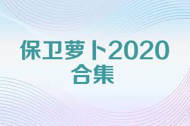 保卫萝卜2020合集