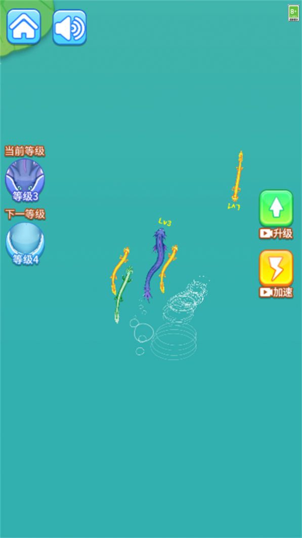 超级蝌蚪进化0