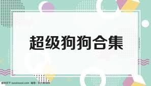 超级狗狗合集