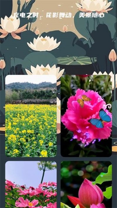 花影充电app免费1