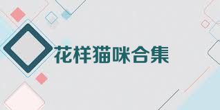 花样猫咪合集