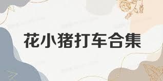 花小猪打车合集