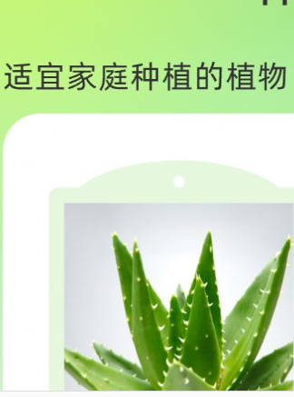 花田庄园赚钱版1
