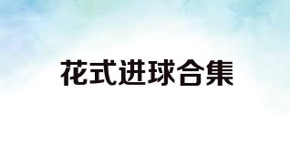 花式进球合集