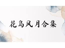 花鸟风月合集