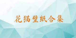 花猫壁纸合集