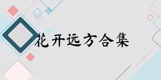 花开远方合集