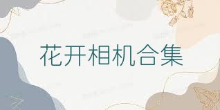 花开相机合集