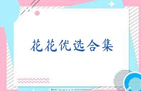 花花优选合集