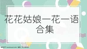 花花姑娘一花一语合集