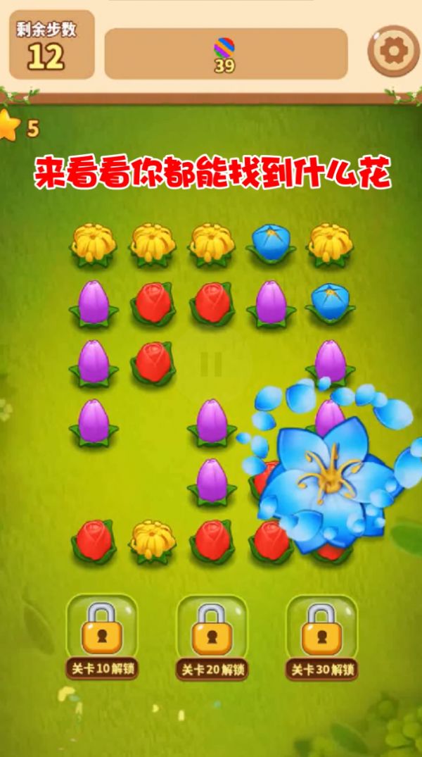 花朵连连消红包版2