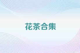 花茶合集