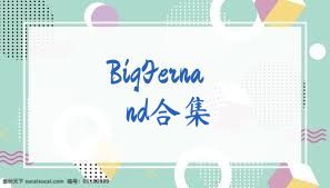 BigFernand合集