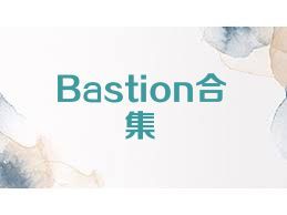Bastion合集