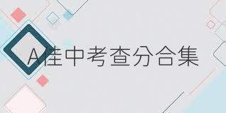 A佳中考查分合集
