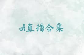 A直播合集