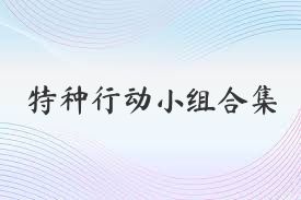 特种行动小组合集