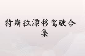 特斯拉漂移驾驶合集