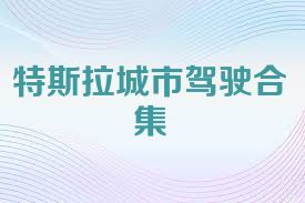 特斯拉城市驾驶合集