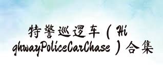 特警巡逻车（HighwayPoliceCarChase）合集