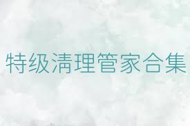 特级清理管家合集