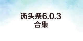 汤头条6.0.3合集