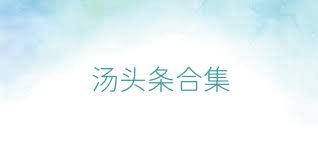 汤头条合集
