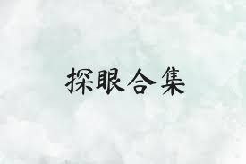 探眼合集