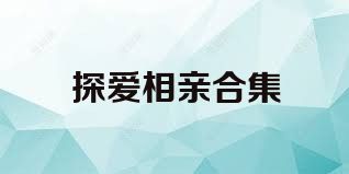 探爱相亲合集