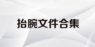 抬腕文件合集