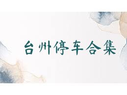 台州停车合集