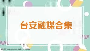 台安融媒合集