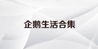 企鹅生活合集