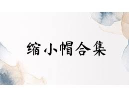 缩小帽合集